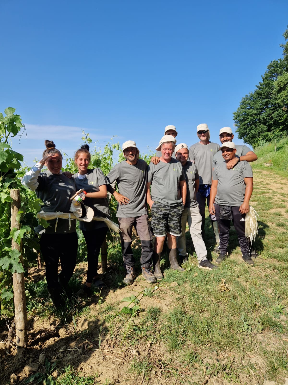 Un œil sur le vignoble GEA Libourne